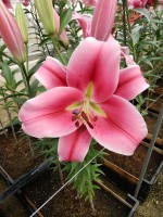 [4572 VH48 No02.JPG]